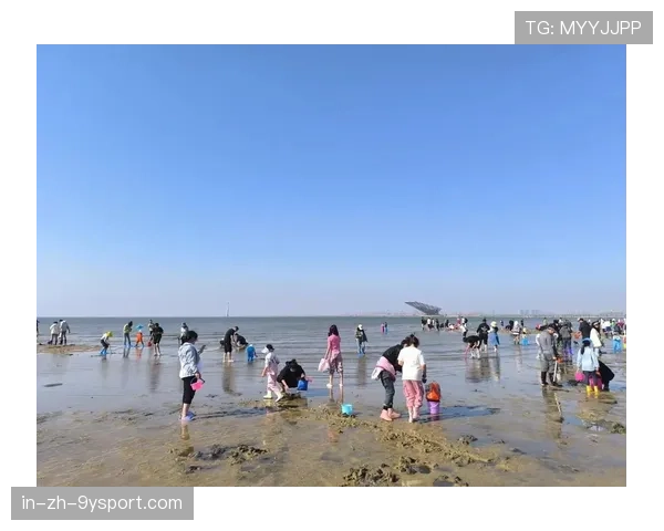 凌晨赶海，惠州市民满载而归！，惠州赶海几点去比较好